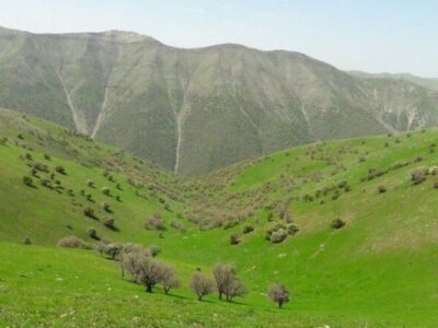 اجرای ۳۱ عنوان برنامه منابع طبیعی در میامی