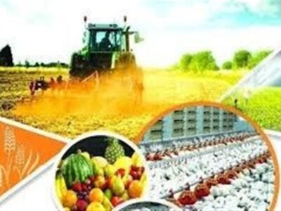 رونق کشاورزی سمنان با افتتاح ۱۲۹ پروژه هفته دولت