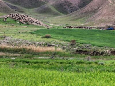سرمایه‌گذاری ۳۴ میلیاردی احیای منابع طبیعی سمنان