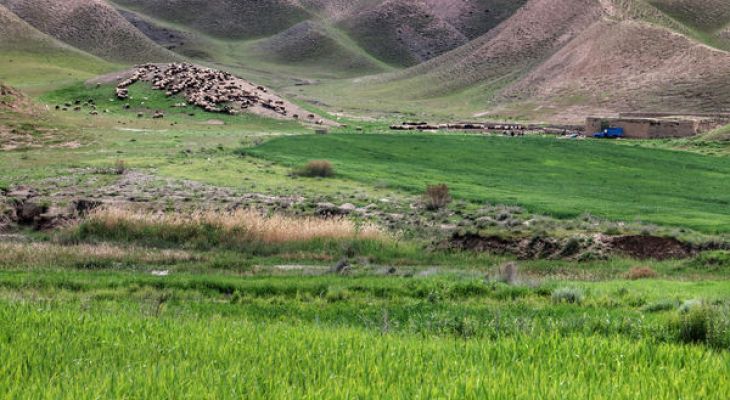 سرمایه‌گذاری ۳۴ میلیاردی احیای منابع طبیعی سمنان
