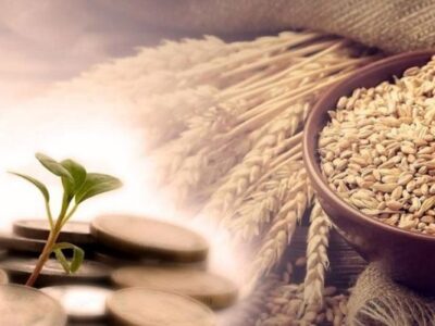 زکات سمنان به ۱۵۹ روستا رسید