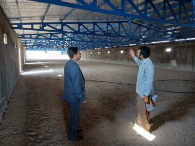 راه‌اندازی واحد پرورش مرغ در جودانه میامی؛ افزایش ۳۲۰ تنی تولید گوشت