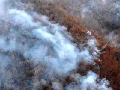 هیرکانی؛ جواهری سبز در چنگال زخم