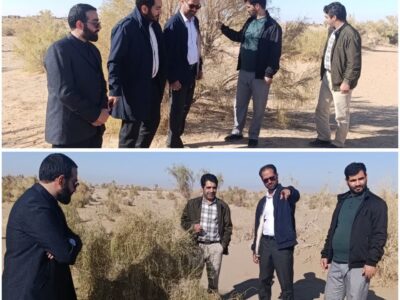 بازدید مسئولان قضایی و منابع طبیعی از تاغ‌زارهای میامی: