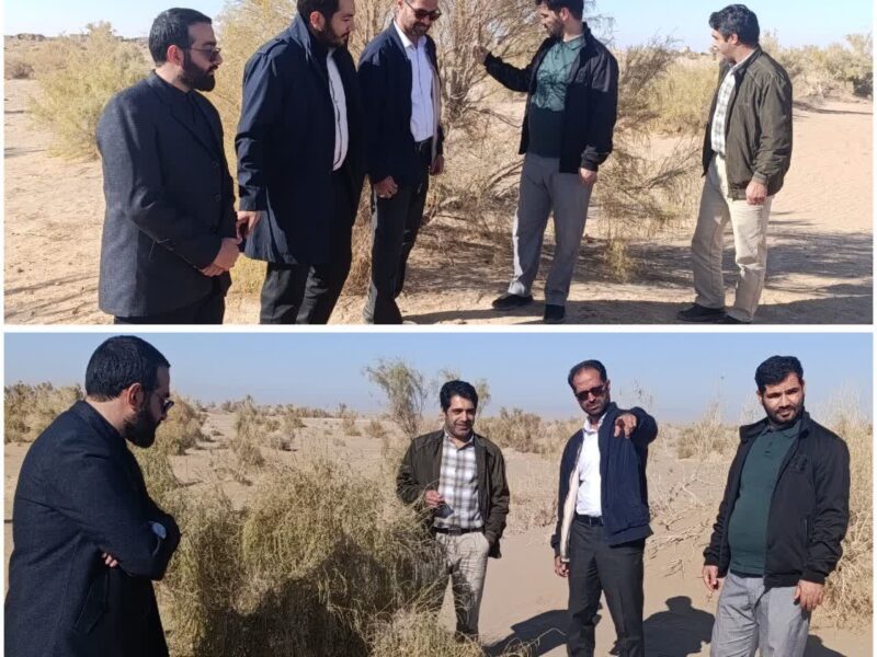 بازدید مسئولان قضایی و منابع طبیعی از تاغ‌زارهای میامی: