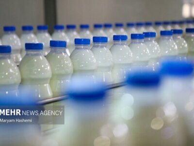 نوری قزلجه: جهاد کشاورزی متولی قیمتگذاری شیر خام است