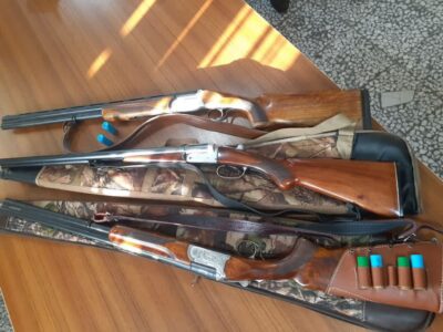 کشف ۳ قبضه سلاح غیرمجاز در میامی