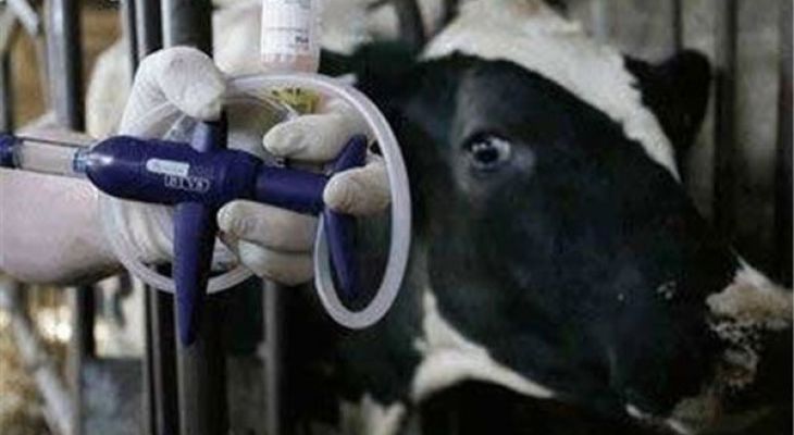 کنترل بیماری تب برفکی در استان سمنان