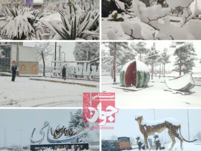 میامی در آغوش زمستان؛ گذری تصویری از میامی برفی