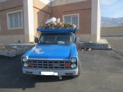 کشف ۲ تن چوب قاچاق در میامی