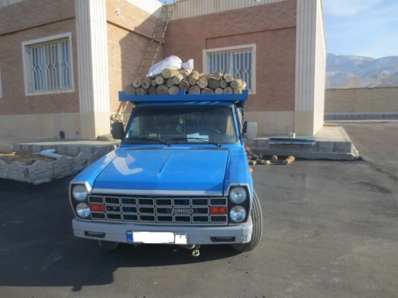 کشف ۲ تن چوب قاچاق در میامی