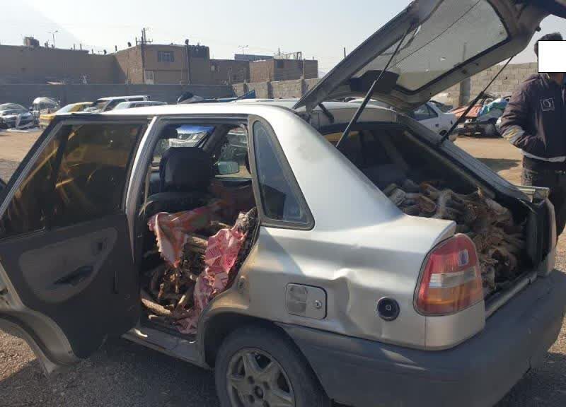 کشف چوب تاغ قاچاق از پراید