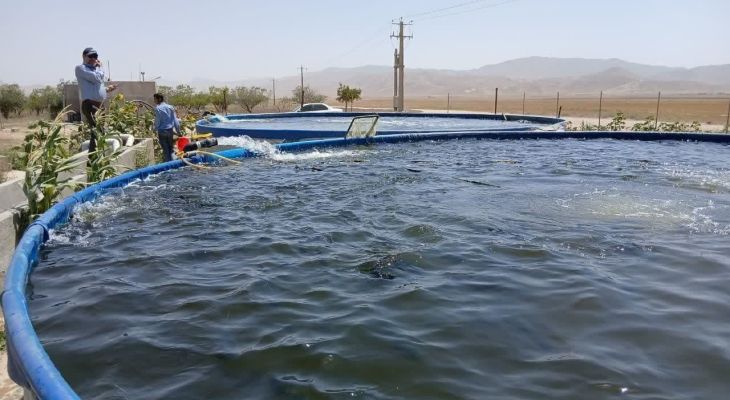 میامی؛ قطب نوظهور تولید پروتئین آبزی