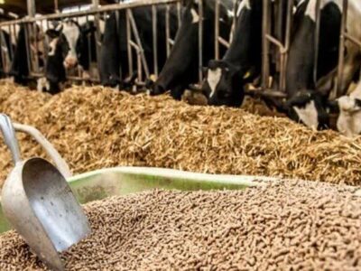 افتتاح واحد بزرگ تولید خوراک دام در میامی