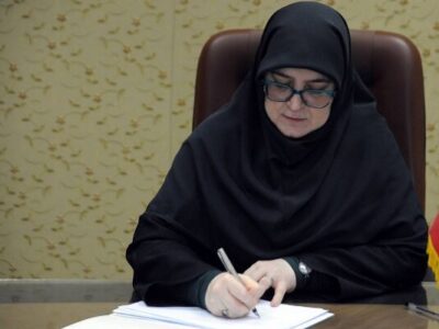 مهاجرانی: میدان و دیپلماسی در کنار هم از ایران دفاع می‌کنند