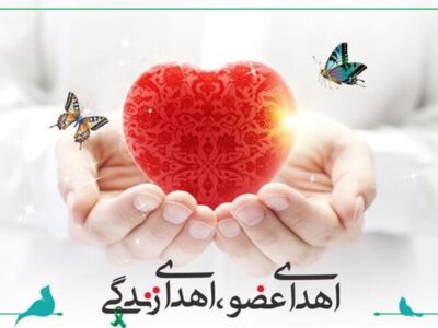 اهدای عضو مادر شاهرودی زندگی‌بخش ۵ بیمار شد
