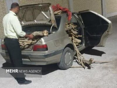 کشف محموله تاغ در خودرو سواری محور میامی؛ راننده دستگیر شد
