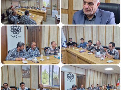 میامی؛ میزبان زائران مسیر باب‌الرضا