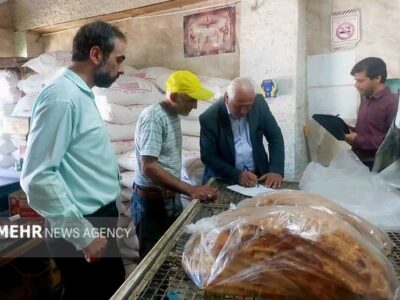 ۱۶ واحد نانوایی متخلف حوزه گران‌فروشی در سمنان شناسایی شدند