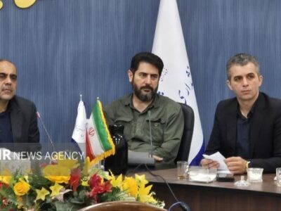 ملخ به مزارع پشتکوه رسید؛ فرماندار مهدیشهر خواهان اقدام فوری شد