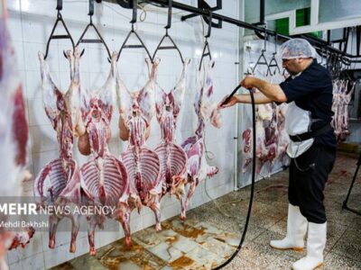 ثبت سفارش واردات گوشت گرم و منجمد از فردا آغاز می‌شود